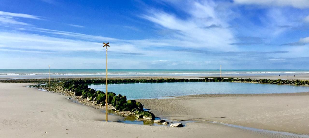 Joli Studio Proche Plage Et Centre Avec Parking Wimereux Eksteriør billede
